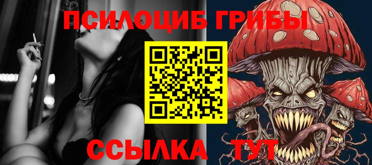 Галлюциногенные грибы прущие грибы  Вход с VPN  Узловая 