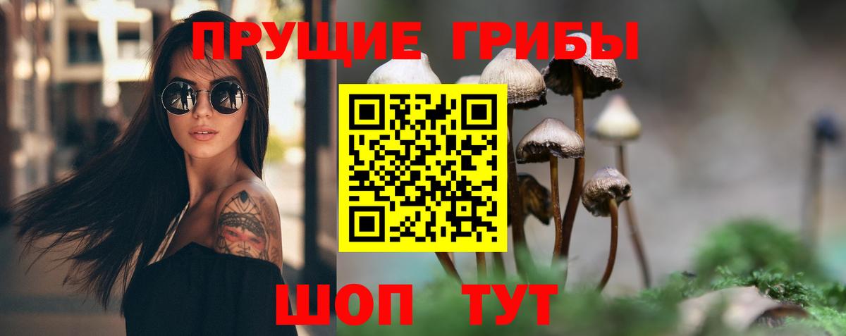 Псилоцибиновые грибы Magic Shrooms Узловая
